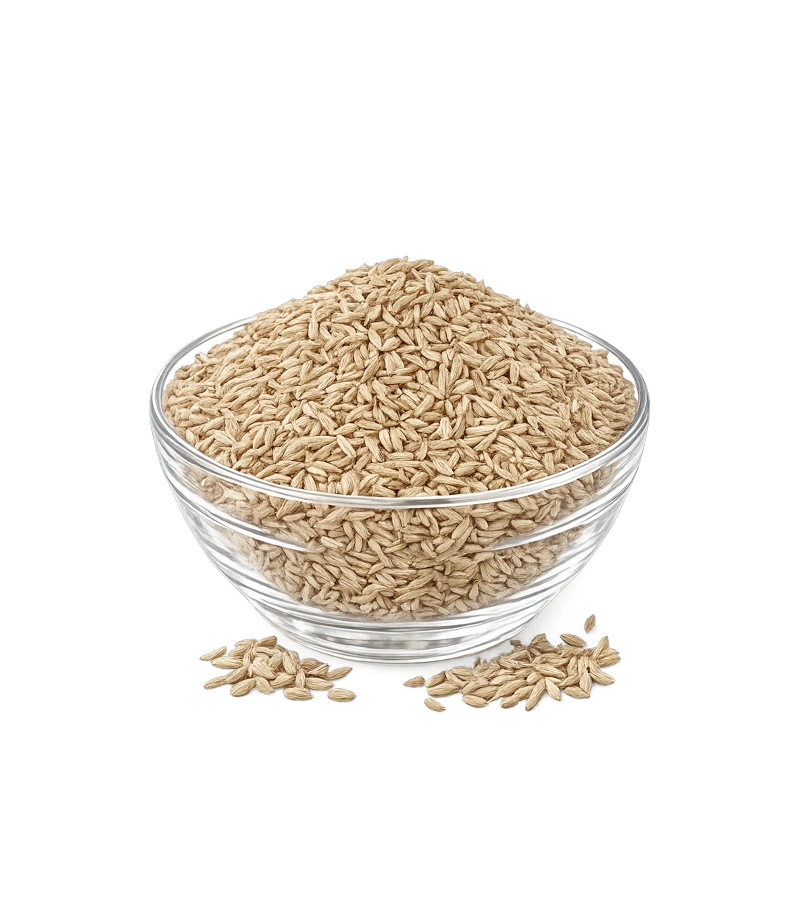 Cumin Seeds – زیرہ