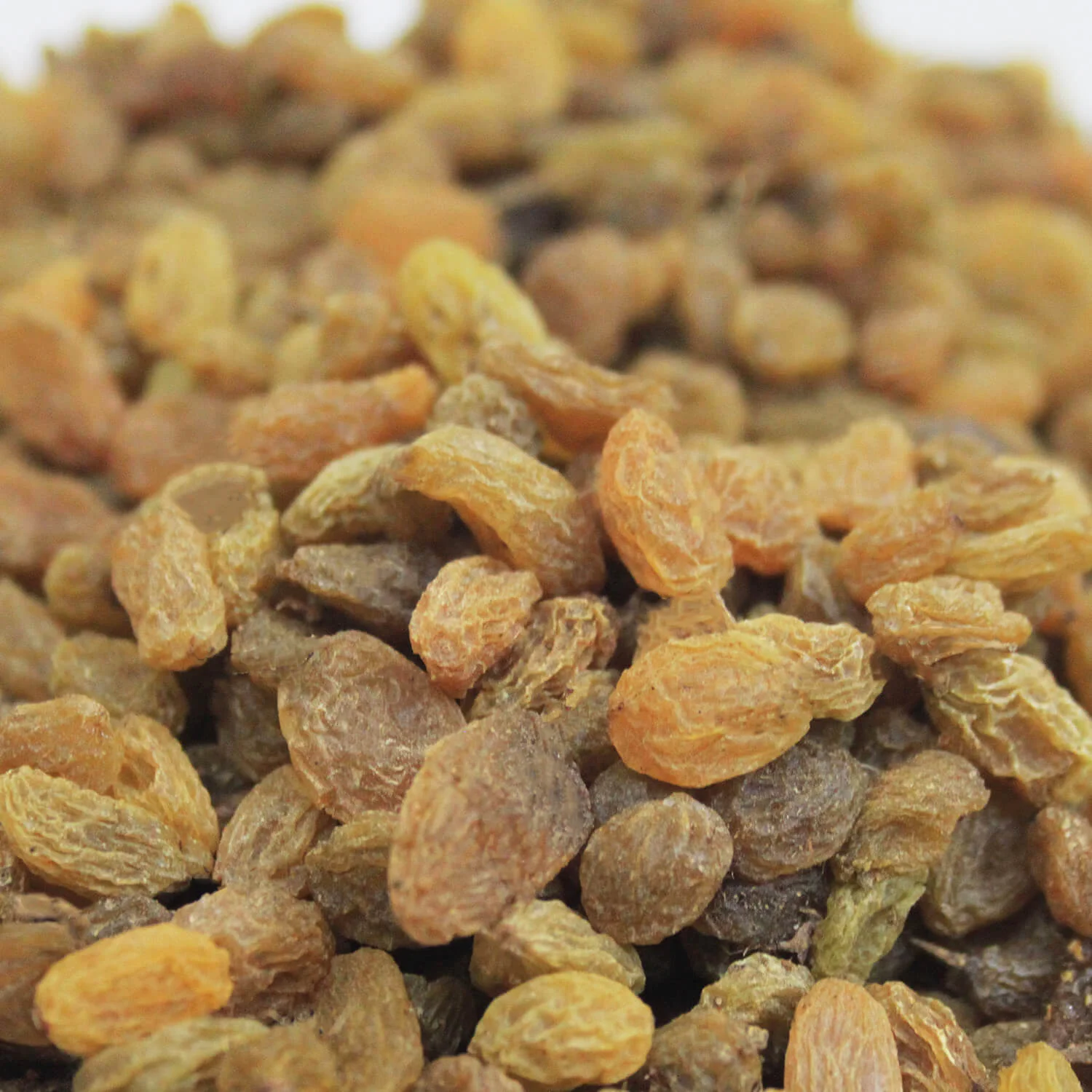 Raisins (kishmish Desi) سوگی دیسی