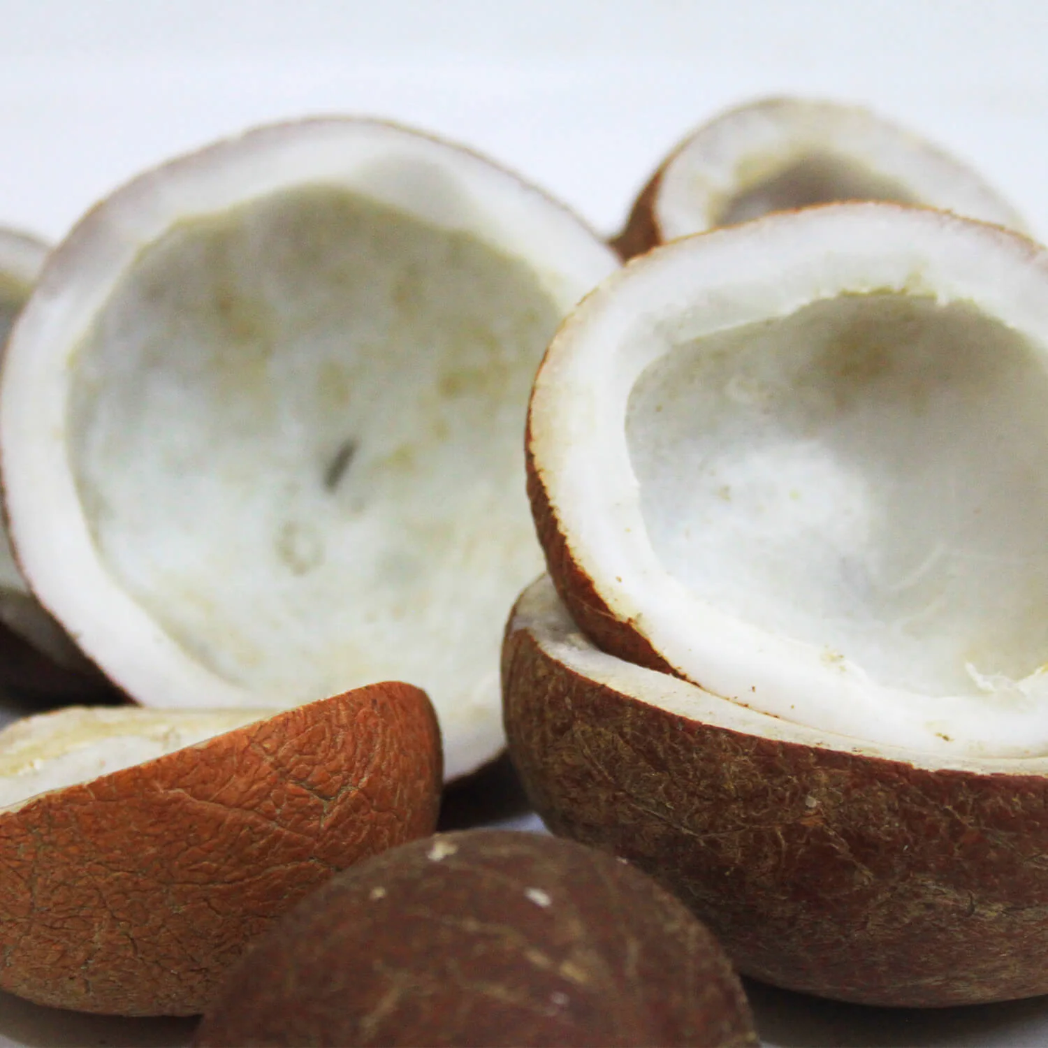 Dry Coconut (Giri Khopra) گری کھوپرہ