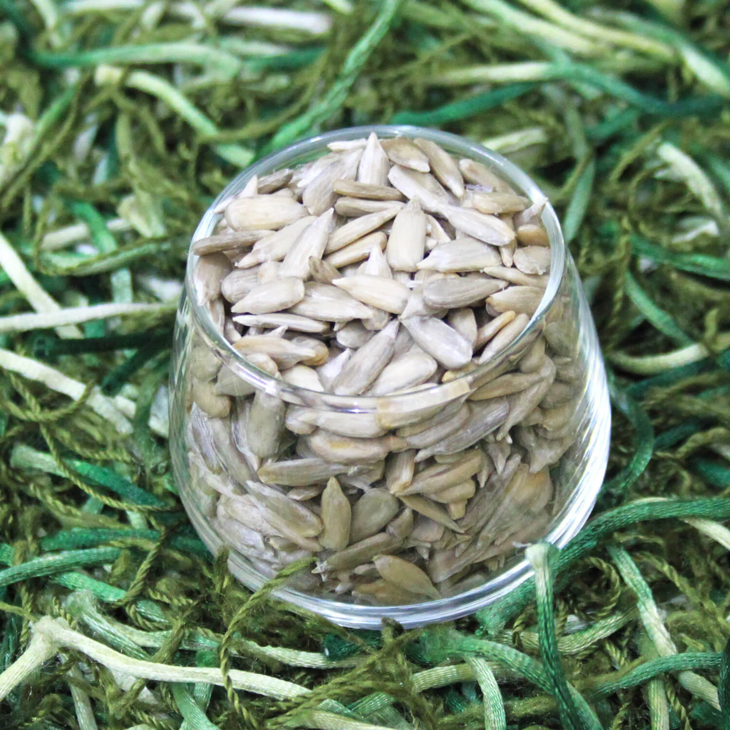 Sunflower seeds without shell مغز سورج مکھی